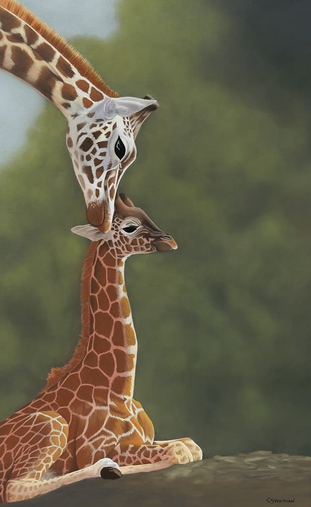 Carol Stratman - Morning-Kiss