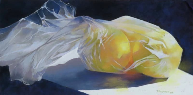 Diane Fechenbach - In the bag