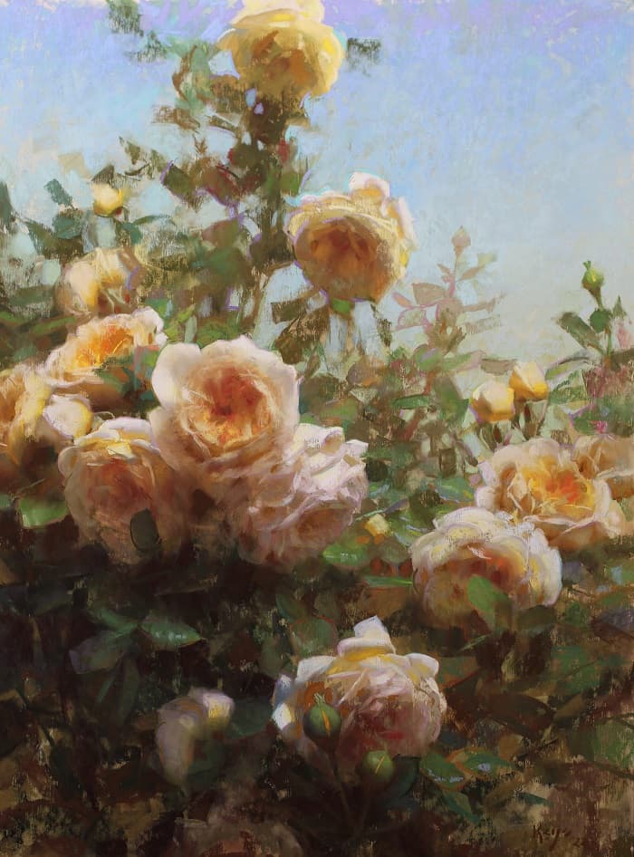 Daniel Keys - Golden Light Roses
