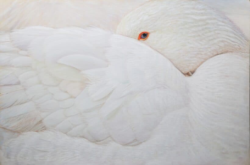 Chia Hsiang Chuang - Eye Contact
