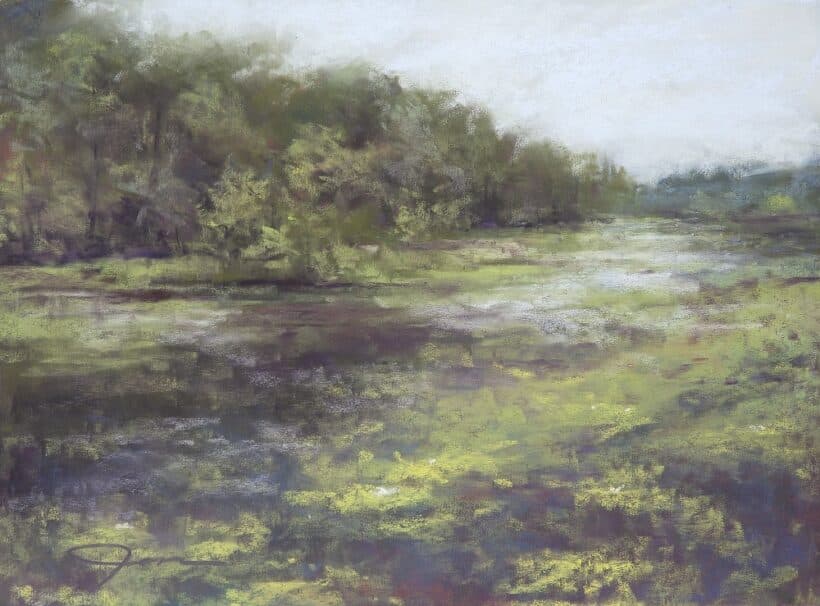 Jennifer Shuey - Wetlands at Shavers Creek