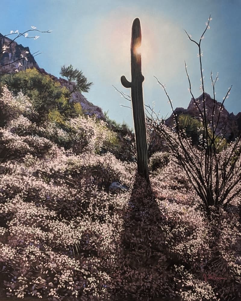 John DeSpain - It's Another Saguaro Sunrise