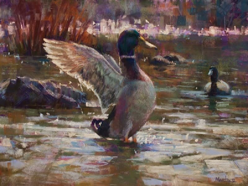 Katherine Martinez - Splash at White Rock Lake