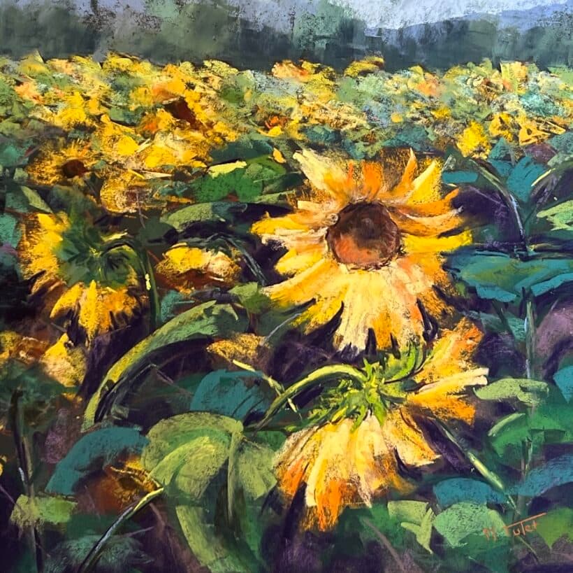 Martine Tulet - Sunflowers
