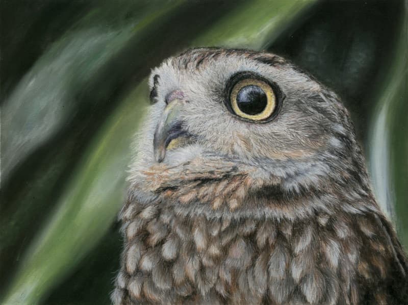 Roksana Wojtasik - Look of Wisdom