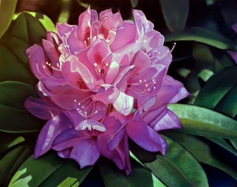 A.J. Grier - Rhododendron