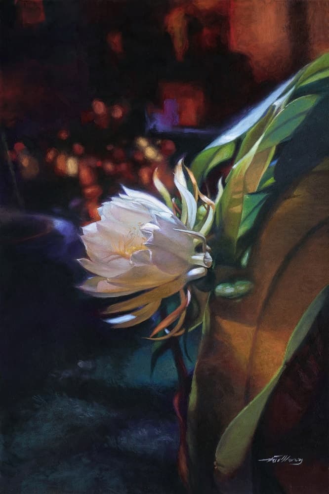 TaiMeng Lim - Momentary Love